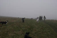 Coralie hat viel Spass